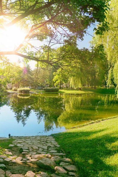 shutterstock_1766001593 shutterstock_1766001593