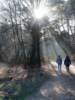 wandelcoaching wandelcoaching
