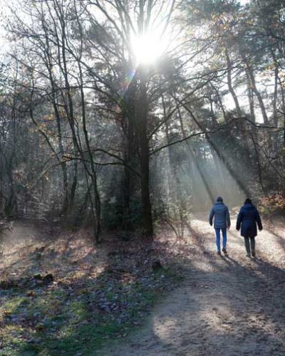 wandelcoaching wandelcoaching